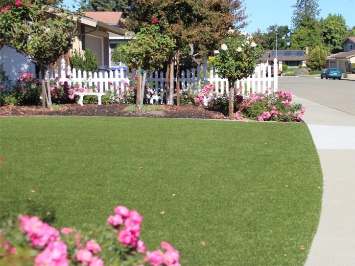 Synthetic Grass Tinley Park Illinois Landscape