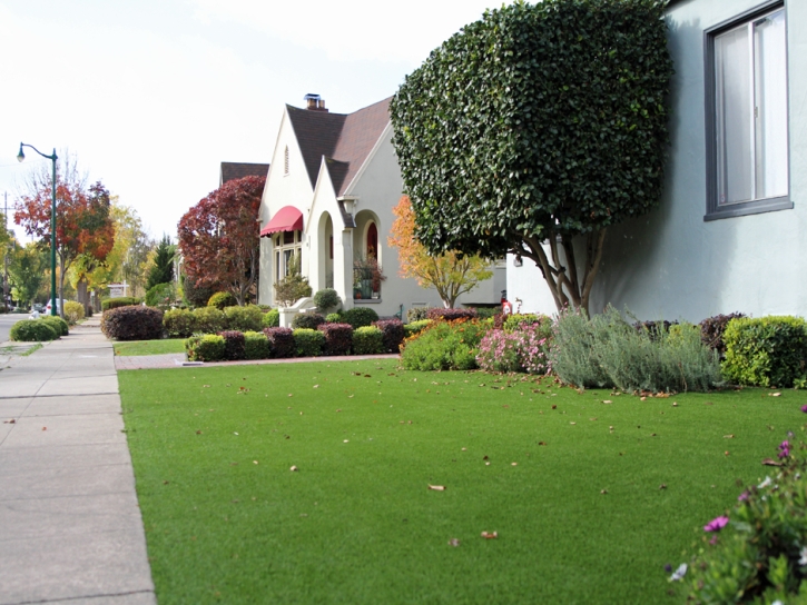 Synthetic Grass Warrenville Illinois Lawn Back Yard