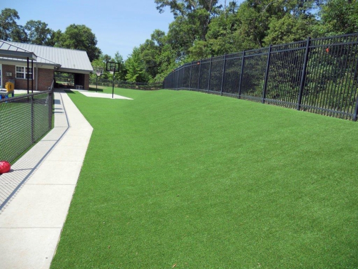 Synthetic Grass Willow Springs Illinois Landscape Back