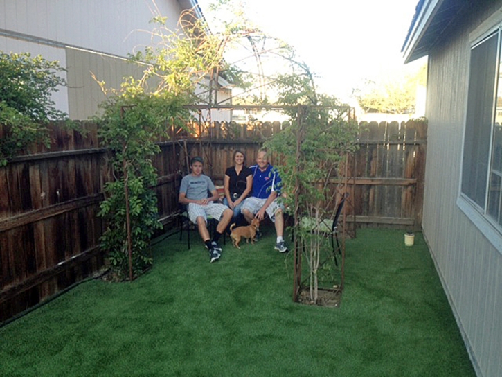 Synthetic Pet Turf Frankfort Square Illinois Installation