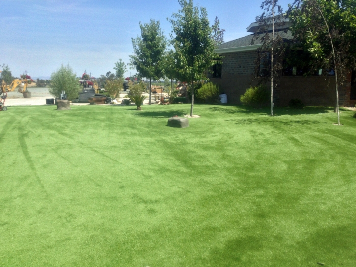 Synthetic Pet Turf Hodgkins Illinois Installation