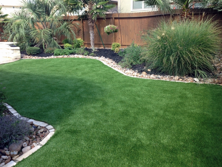 Synthetic Pets Areas Harvey Illinois for Dogs Back Yard