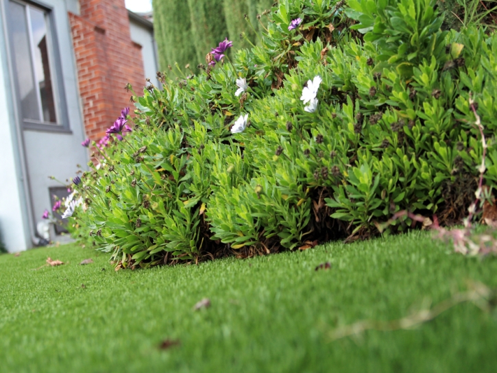 Synthetic Turf Buffalo Grove Illinois Lawn Back Yard