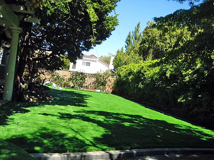 Synthetic Turf Burbank Illinois Landscape Back Yard