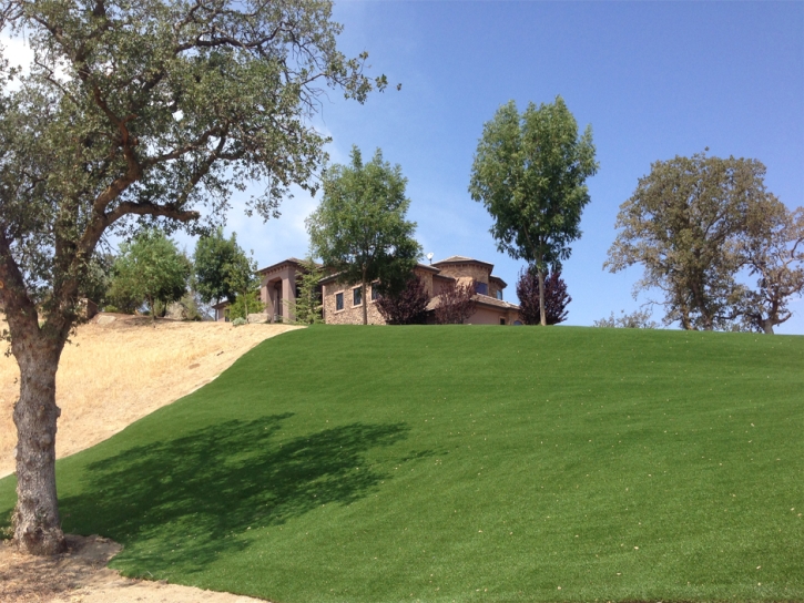 Synthetic Turf Calumet Park Illinois Lawn Front Yard