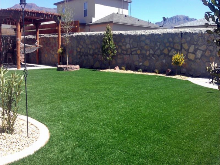 Synthetic Turf Clarendon Hills Illinois Landscape