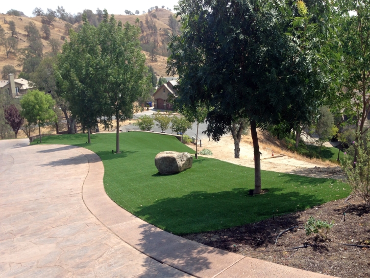 Synthetic Turf Countryside Illinois Landscape Front Yard