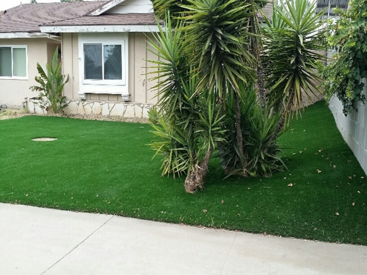 Synthetic Turf East Hazel Crest Illinois Landscape Back