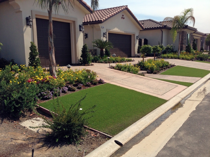 Synthetic Turf Franklin Park Illinois Landscape