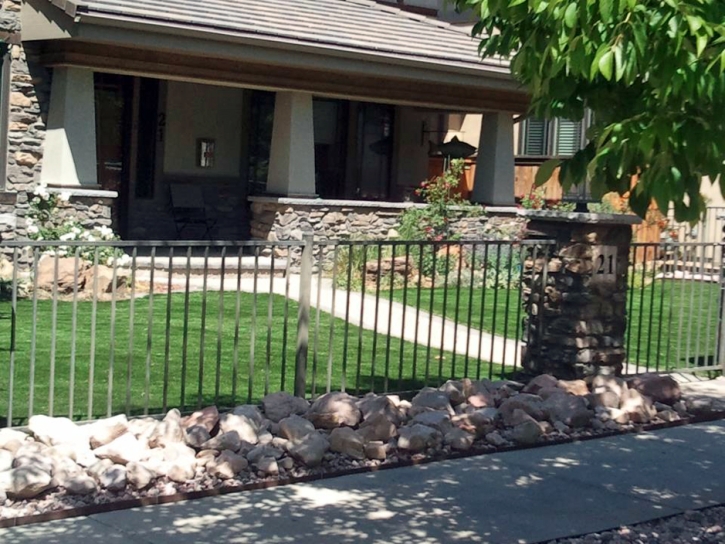 Synthetic Turf Highland Indiana Landscape Back Yard