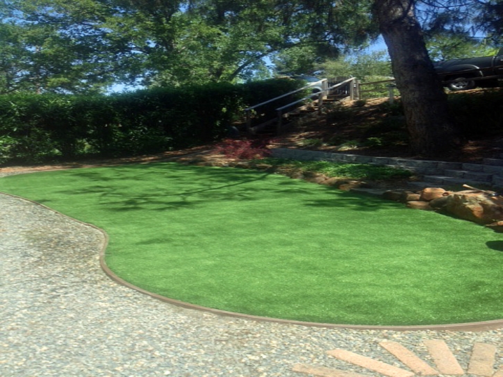 Synthetic Turf Highland Park Illinois Landscape