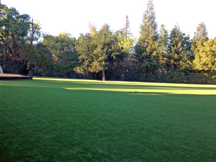 Synthetic Turf Hillside Illinois Lawn Front Yard