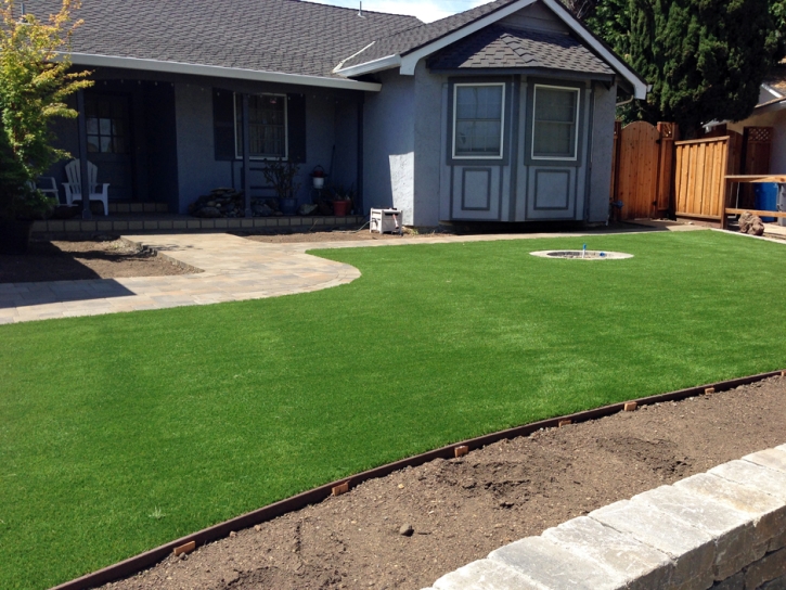 Synthetic Turf Hodgkins Illinois Landscape Commercial Landscape