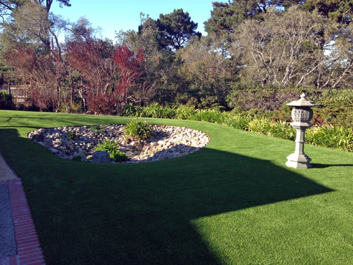 Synthetic Turf Hometown Illinois Landscape