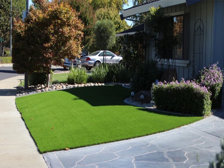 Synthetic Turf Homewood Illinois Landscape Front Yard