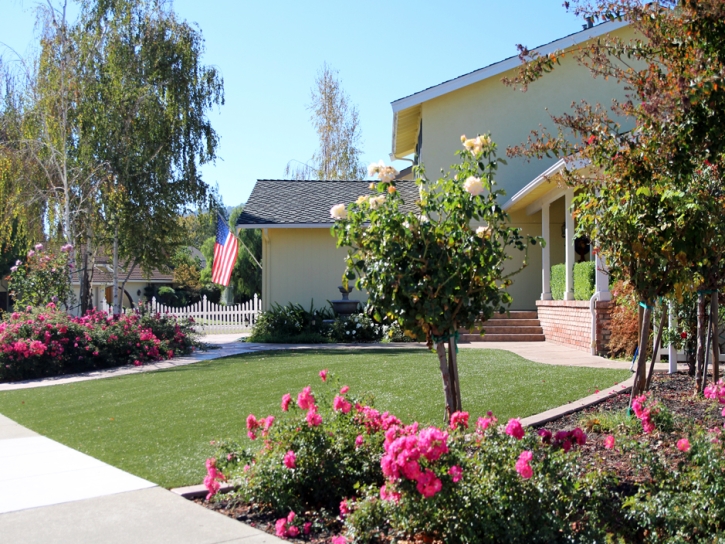 Synthetic Turf Homewood Illinois Landscape Pools Back