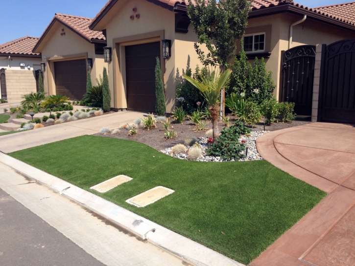 Synthetic Turf Justice Illinois Lawn Front Yard