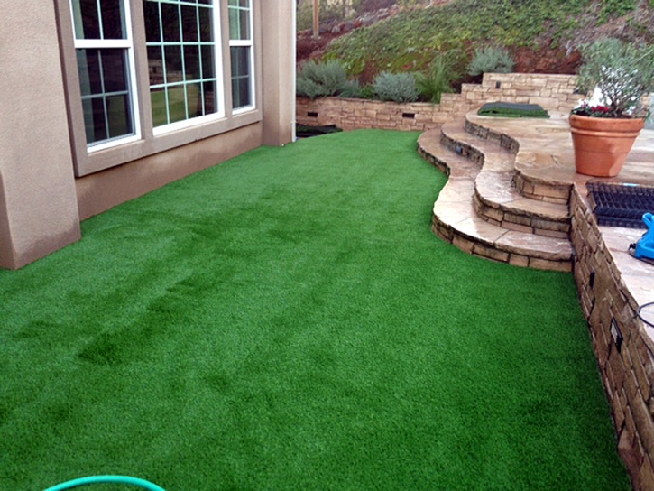 Synthetic Turf Kildeer Illinois Landscape Front Yard