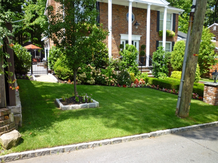 Synthetic Turf Morton Grove Illinois Landscape Back Yard