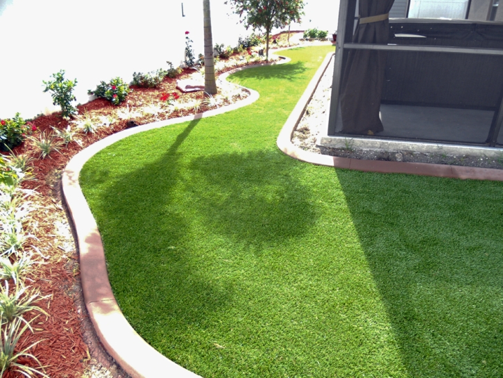 Synthetic Turf Morton Grove Illinois Landscape Front Yard