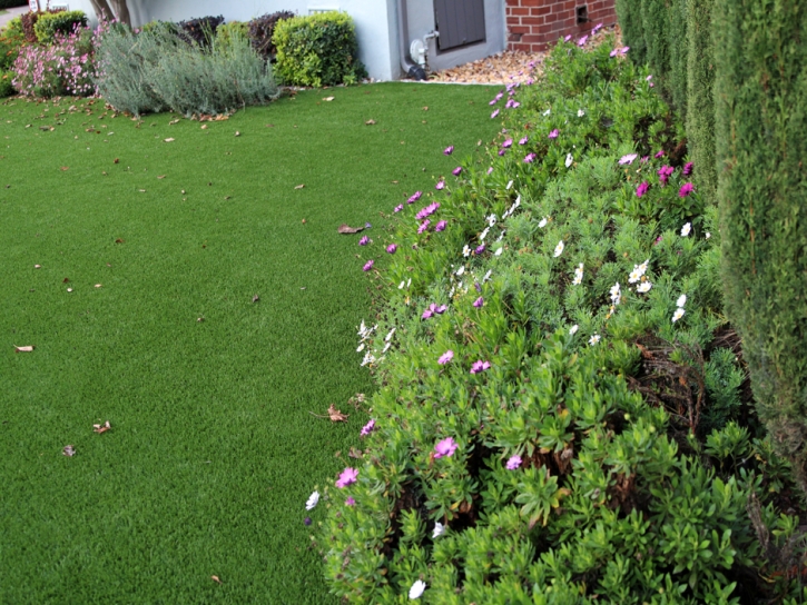 Synthetic Turf New Chicago Indiana Lawn Front Yard