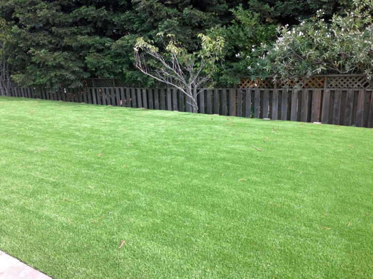 Synthetic Turf Northbrook Illinois Landscape Back Yard