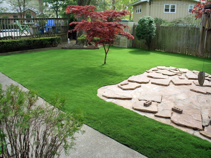 Synthetic Turf Palos Park Illinois Landscape