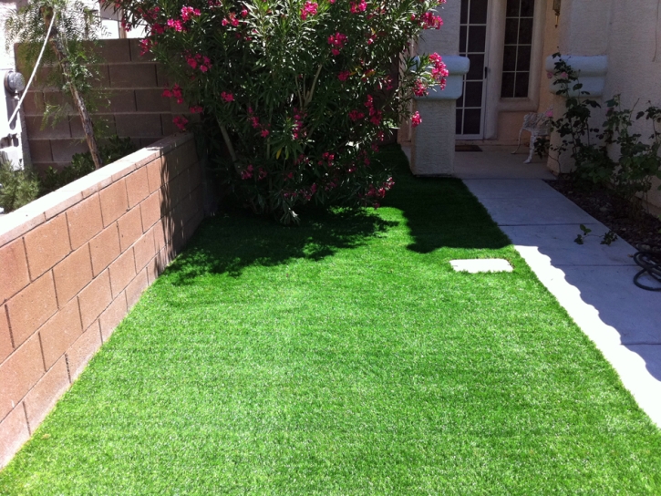 Synthetic Turf Posen Illinois Landscape Back Yard