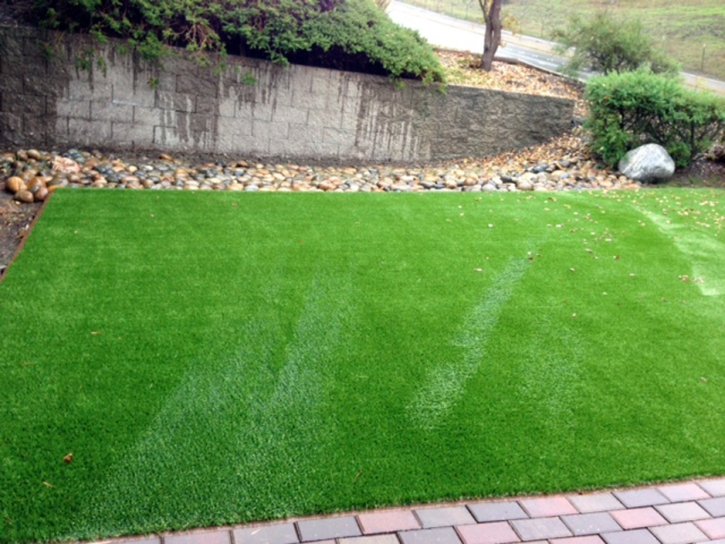 Synthetic Turf Richton Park Illinois Lawn Front Yard