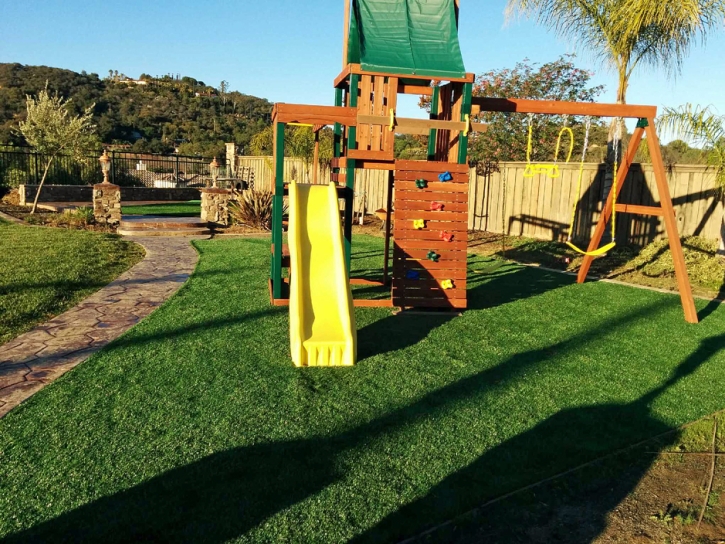 Synthetic Turf Riverside Illinois Kids Care