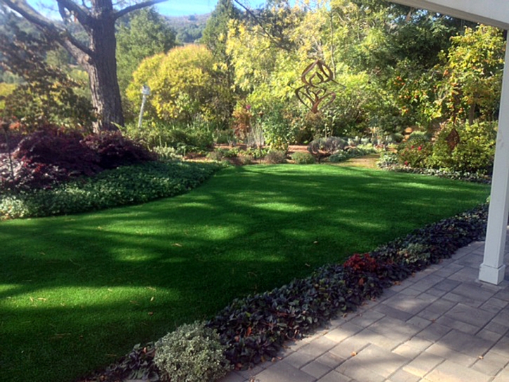 Synthetic Turf Roselle Illinois Landscape Back Yard