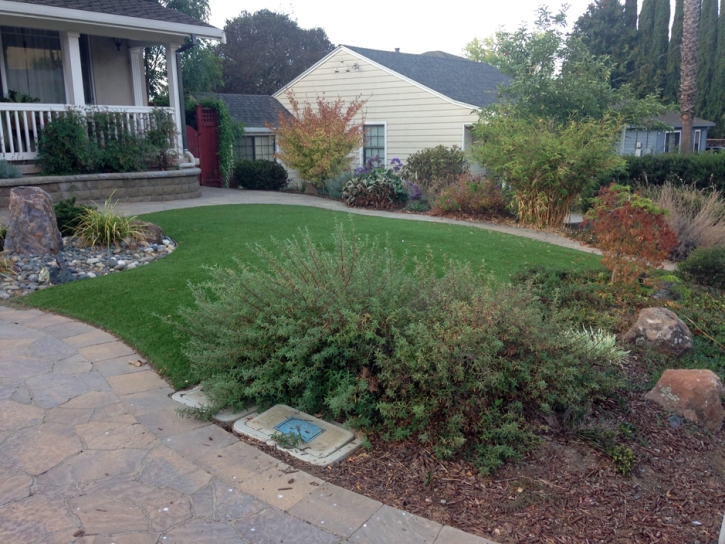 Synthetic Turf Schaumburg Illinois Landscape Back Yard