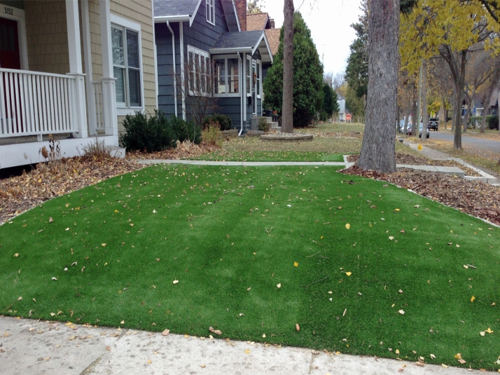 Synthetic Turf Schiller Park Illinois Lawn Front Yard