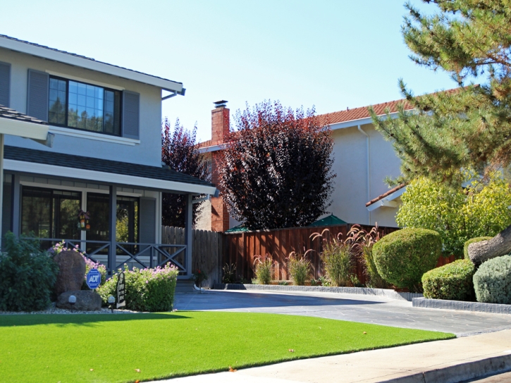 Synthetic Turf South Chicago Heights Illinois Landscape