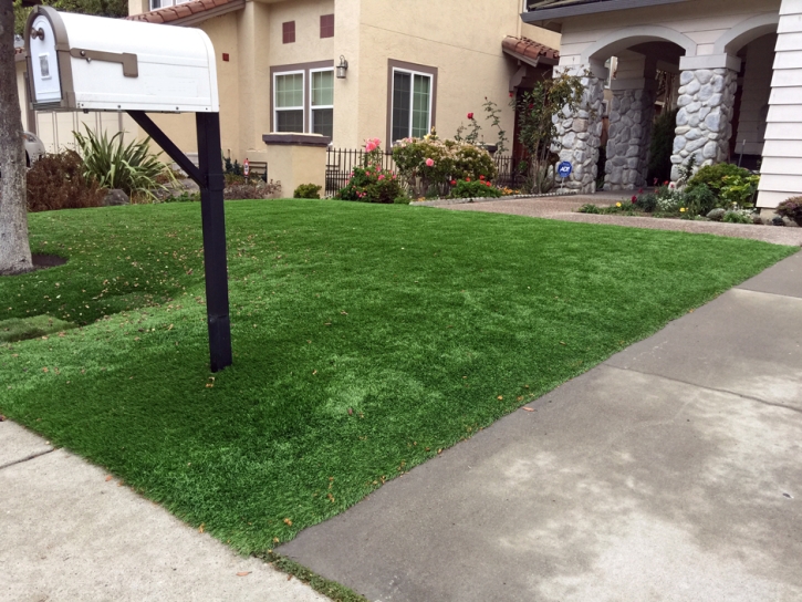 Synthetic Turf Steger Illinois Lawn Front Yard