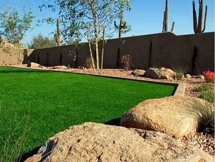 Synthetic Turf Tinley Park Illinois Landscape Back Yard