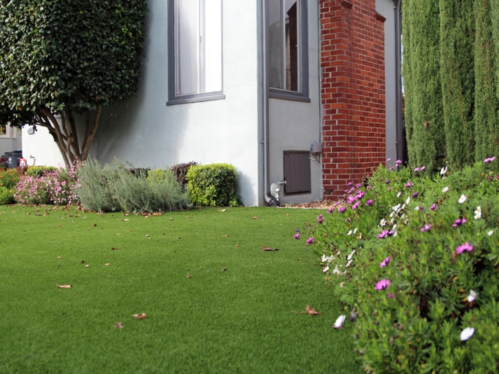 Synthetic Turf Warrenville Illinois Lawn Commercial Landscape