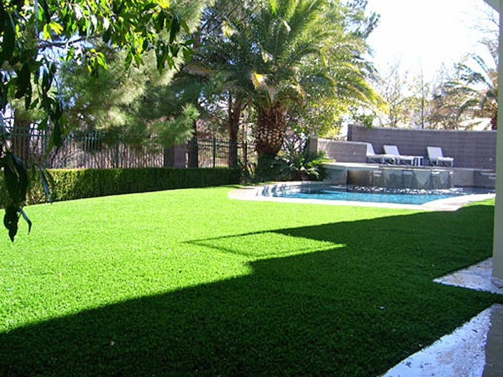 Synthetic Turf Wayne Illinois Landscape