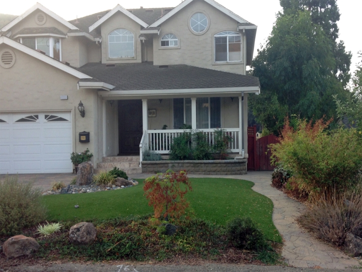 Synthetic Turf West Chicago Illinois Landscape Front Yard