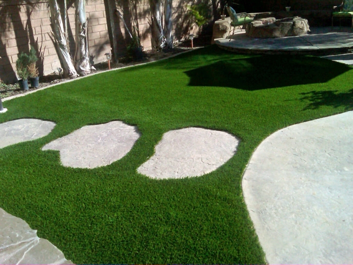 Synthetic Turf Winfield Illinois Landscape Back Yard