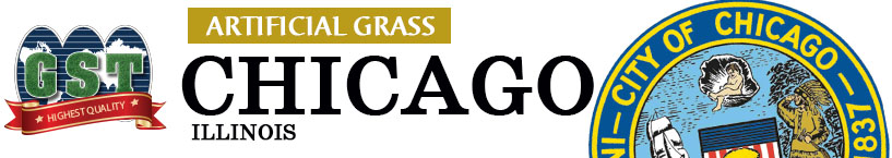 Artificial Grass Chicago, Illinois